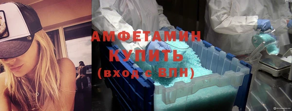 дурь Пересвет