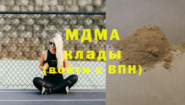 гашик Богданович