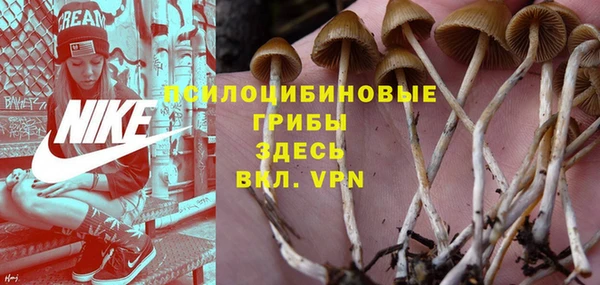 кристаллы Осинники